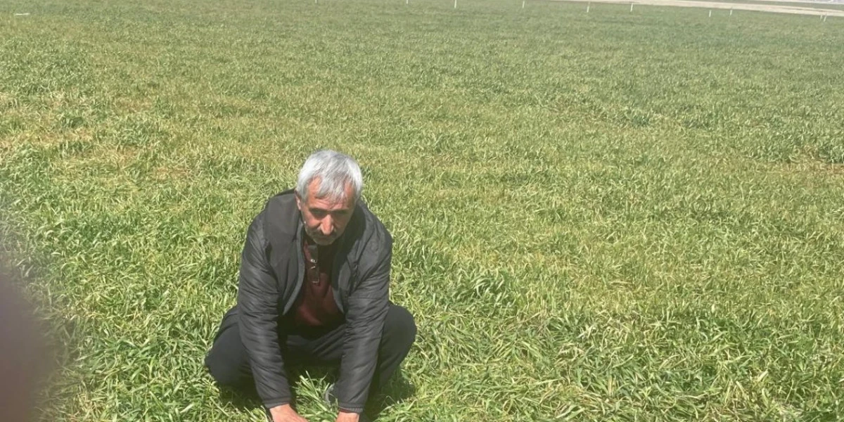 Bu uyarıya dikkat!