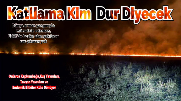 Dünya Orman Yangınıyla Mücadele Ederken Eskil'de Bilinçli Yangın Çıkarılıyor