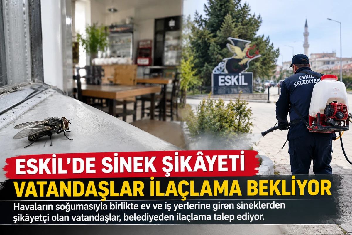 Eskil&rsquo;de Sinek Şik&acirc;yeti: Vatandaşlar İla&ccedil;lama Bekliyor