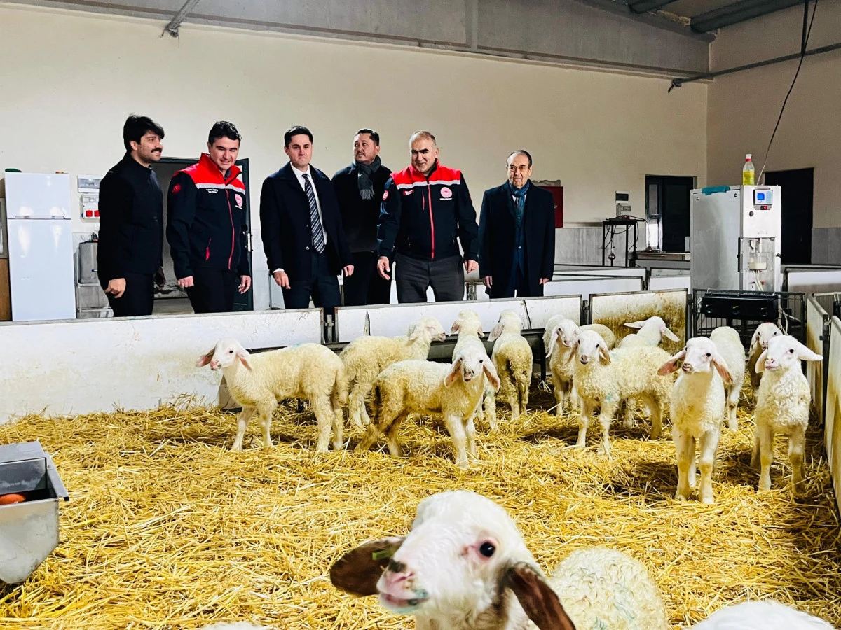 Kaymakam yerinde inceledi