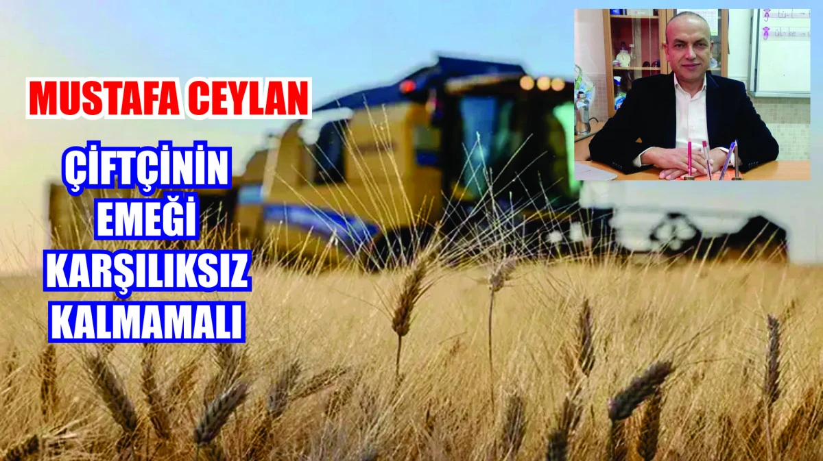 Mustafa Ceylan'dan Hububat Alım Fiyatlarına Tepki: "&Ccedil;ift&ccedil;inin Emeği Karşılıksız Bırakılmamalı"