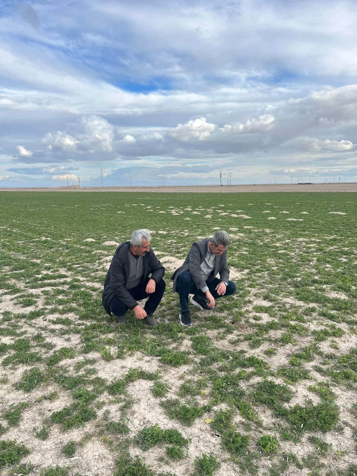 Ziraat Odası&rsquo;ndan Fare  Uyarısı 